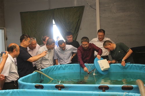 智能化養殖裝備與智慧管理平臺開發成果通過驗收，助推海水養殖技術研發升級