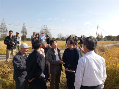 發(fā)揮學(xué)科優(yōu)勢，助力崇明建設(shè)——化分學(xué)院分析-物化聯(lián)合黨支部“主題黨日”活動聚焦海水養(yǎng)殖技術(shù)研發(fā)