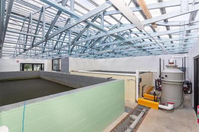 內(nèi)陸循環(huán)海水養(yǎng)蝦新突破 手掌大規(guī)格蝦亮相，口感營養(yǎng)比肩北極甜蝦