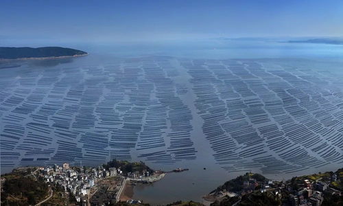 洞頭區 以科技創新澎湃海洋經濟高質量發展新動能，海水養殖技術研發走在前列