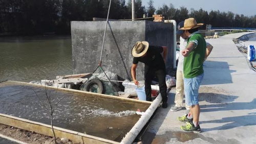 “共享池塘”引領海水養殖革新，天敵共存黑科技入選省級重點研發計劃